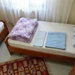 Hasyurt Hotel *