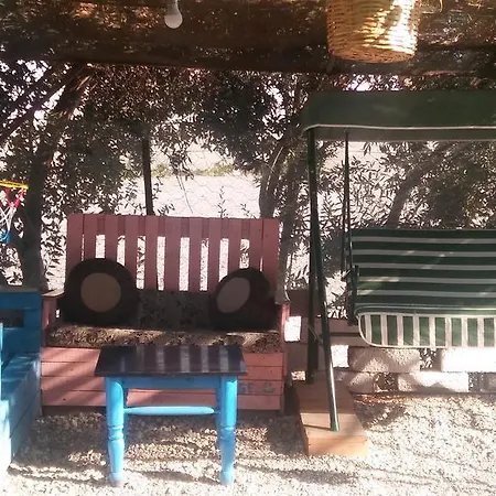Hasyurt * Финике