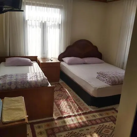 فندق Hasyurt *