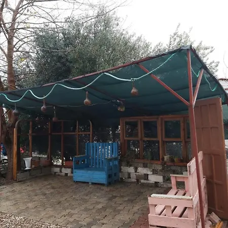 Отель Hasyurt *