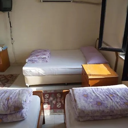 Hasyurt Финике