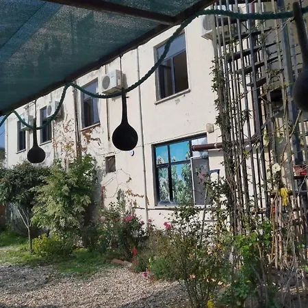 Отель Hasyurt *