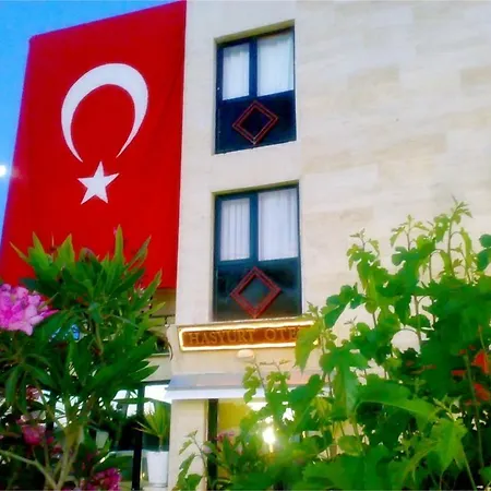 Hasyurt Hotel *